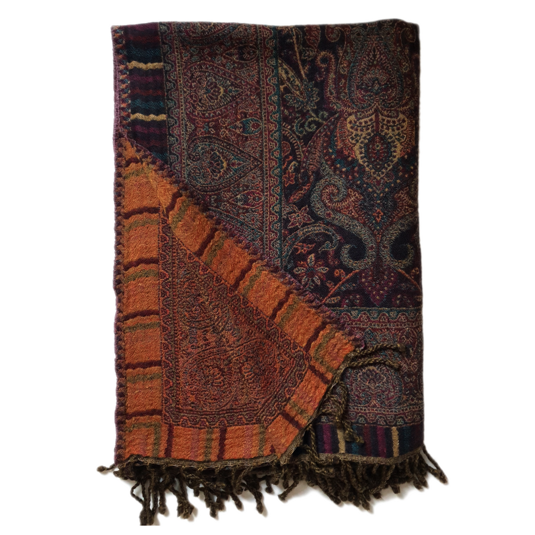Paisley Border Throw Blanket