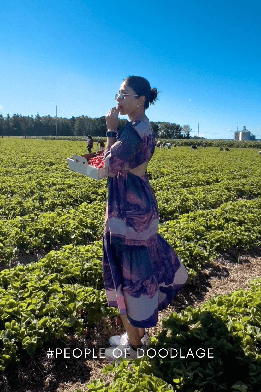 Amino printed Doodlage dress with vibrant patterns, stylish design, and flowy fabric, perfect for casual or semi-formal wear.