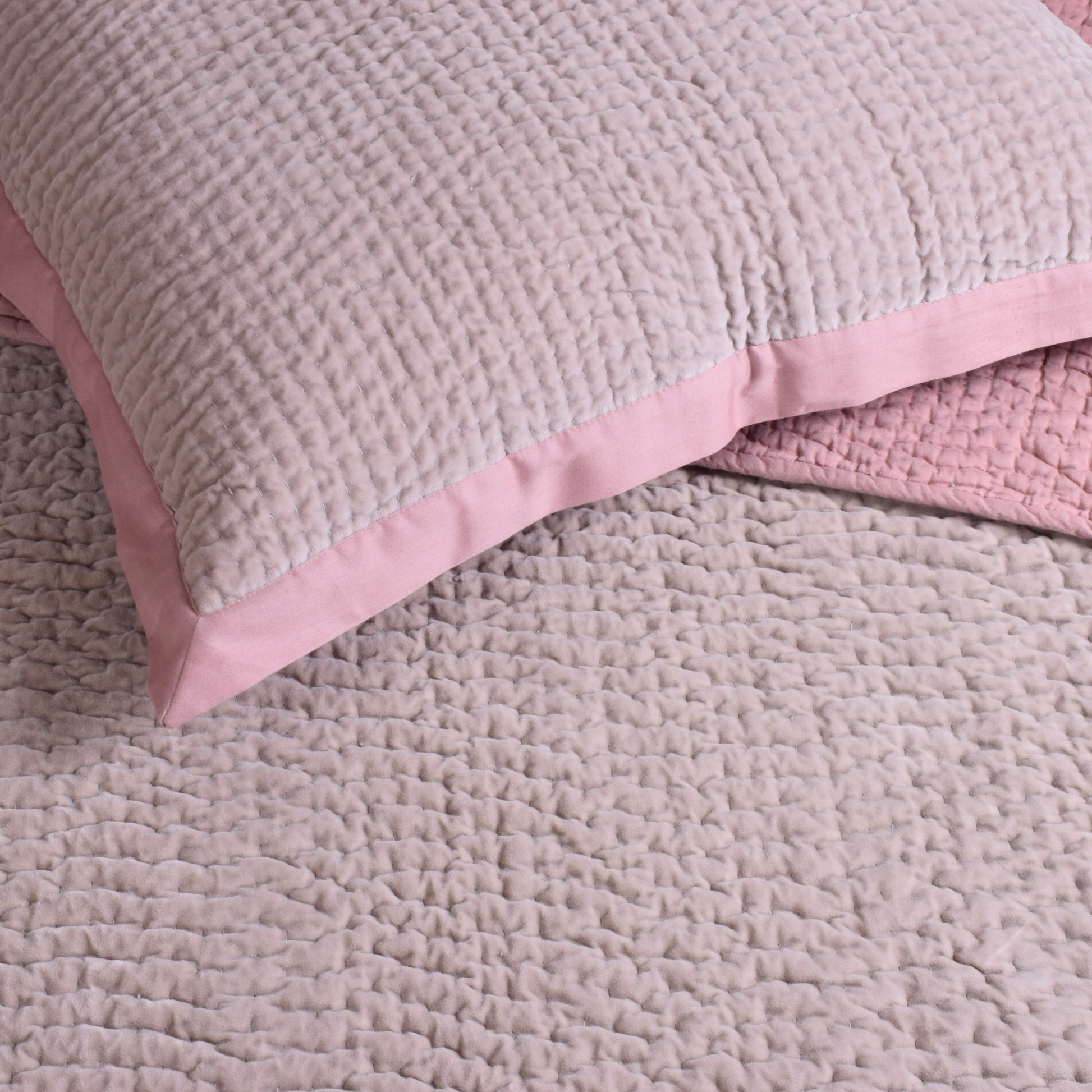 Blush Rose Velvet Cushion
