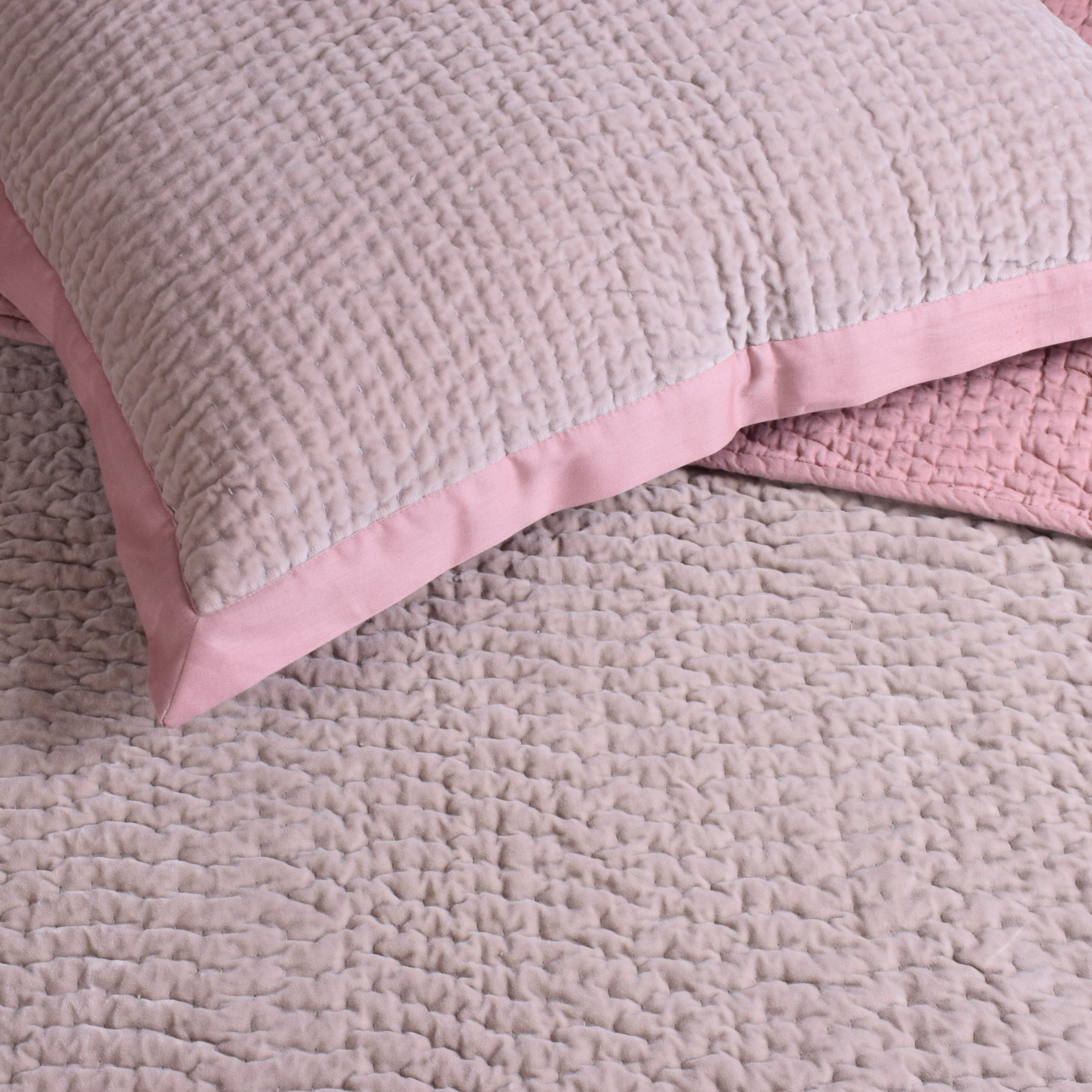 Blush Rose Velvet Cushion