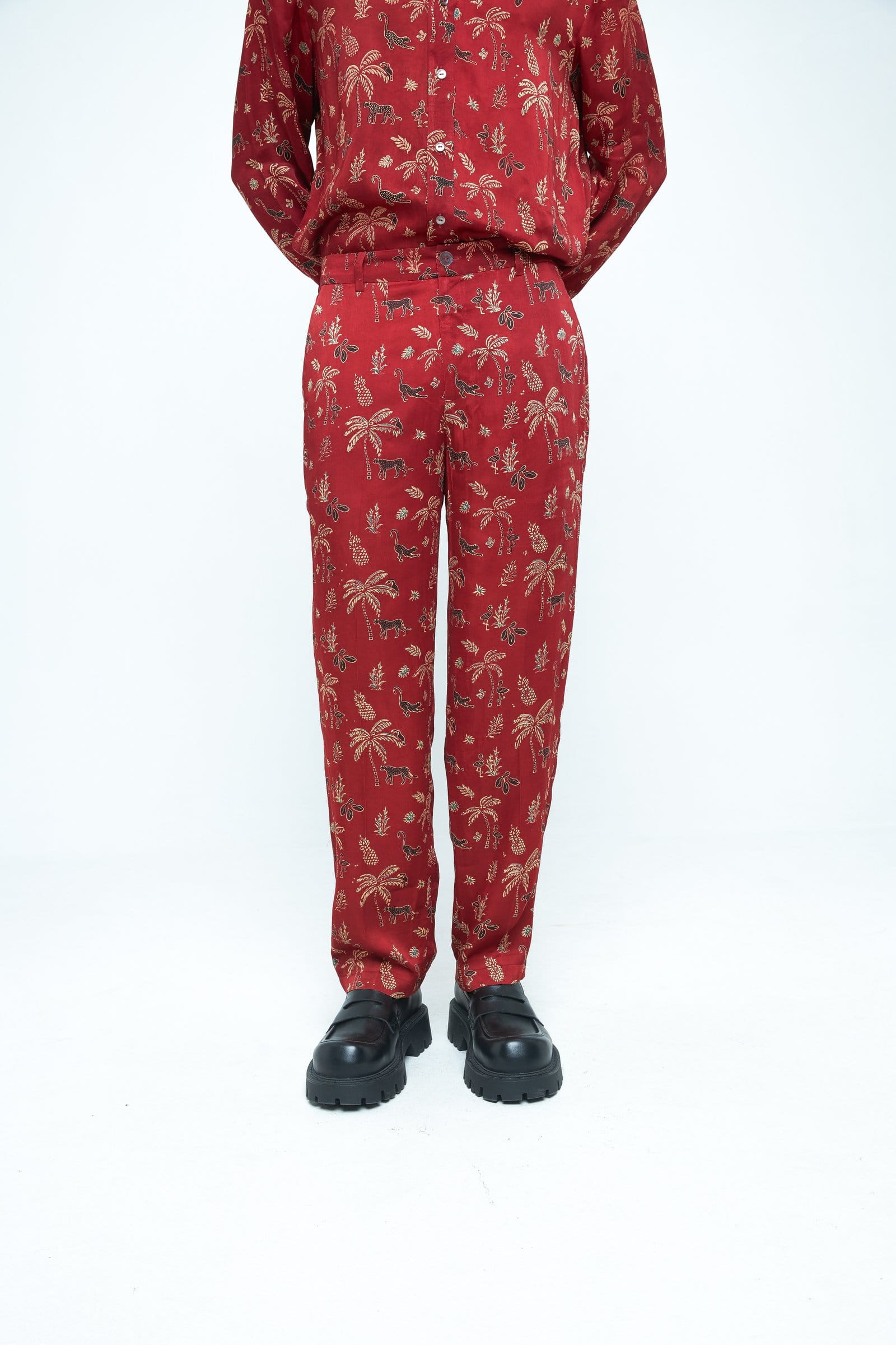 Anushe Pirani wild tapered pants featuring a relaxed fit, earthy tones, and tapered leg design, front view.